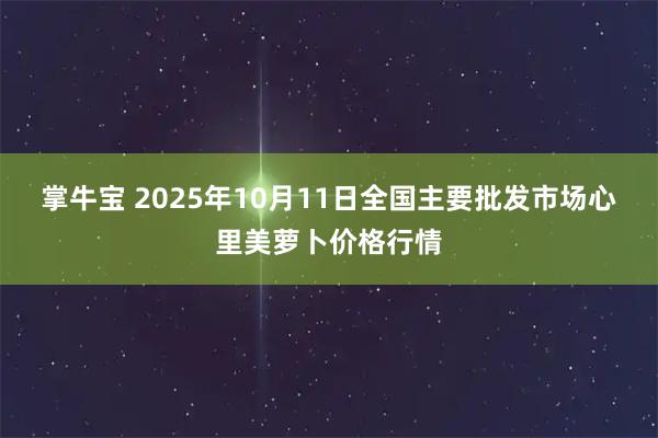 掌牛宝 2025年10月11日全国主要批发市场心里美萝卜价格行情