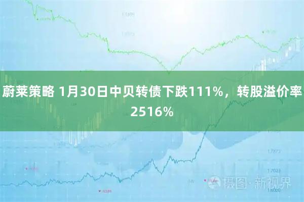 蔚莱策略 1月30日中贝转债下跌111%，转股溢价率2516%