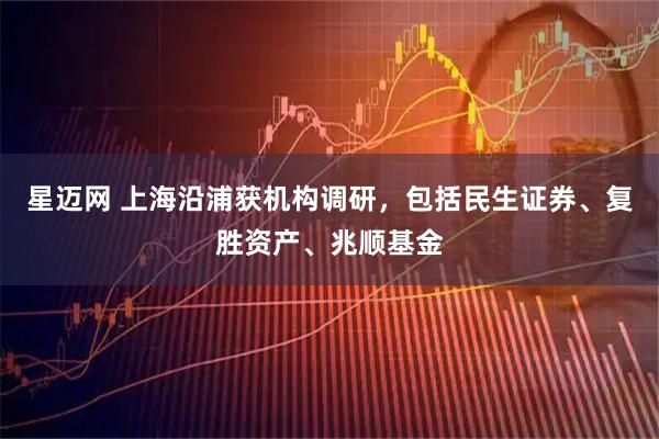 星迈网 上海沿浦获机构调研，包括民生证券、复胜资产、兆顺基金